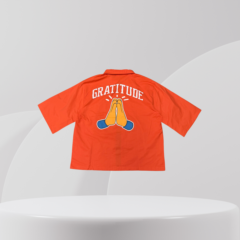 Gratitude Graphic Zip Shirt