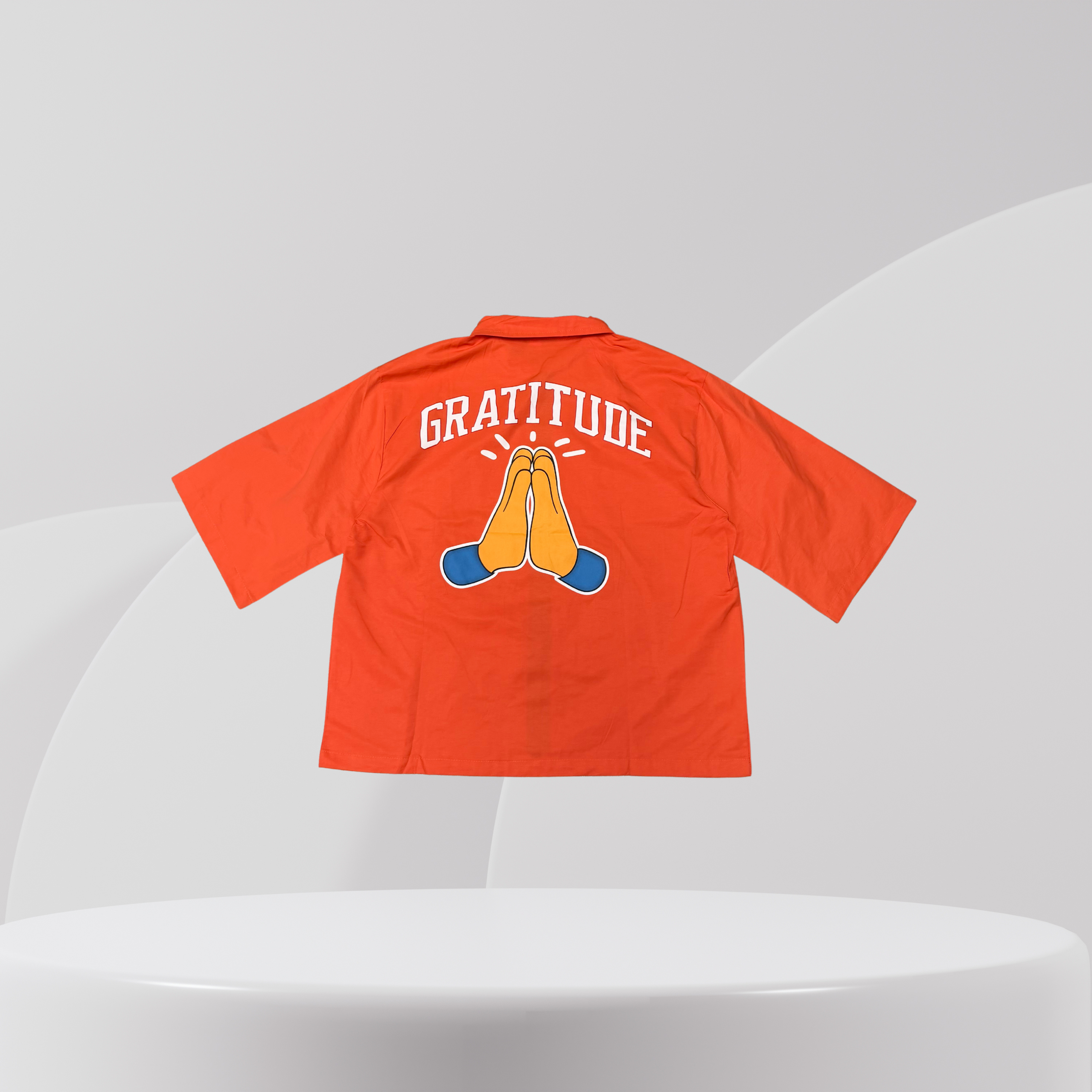 Gratitude Graphic Zip Shirt