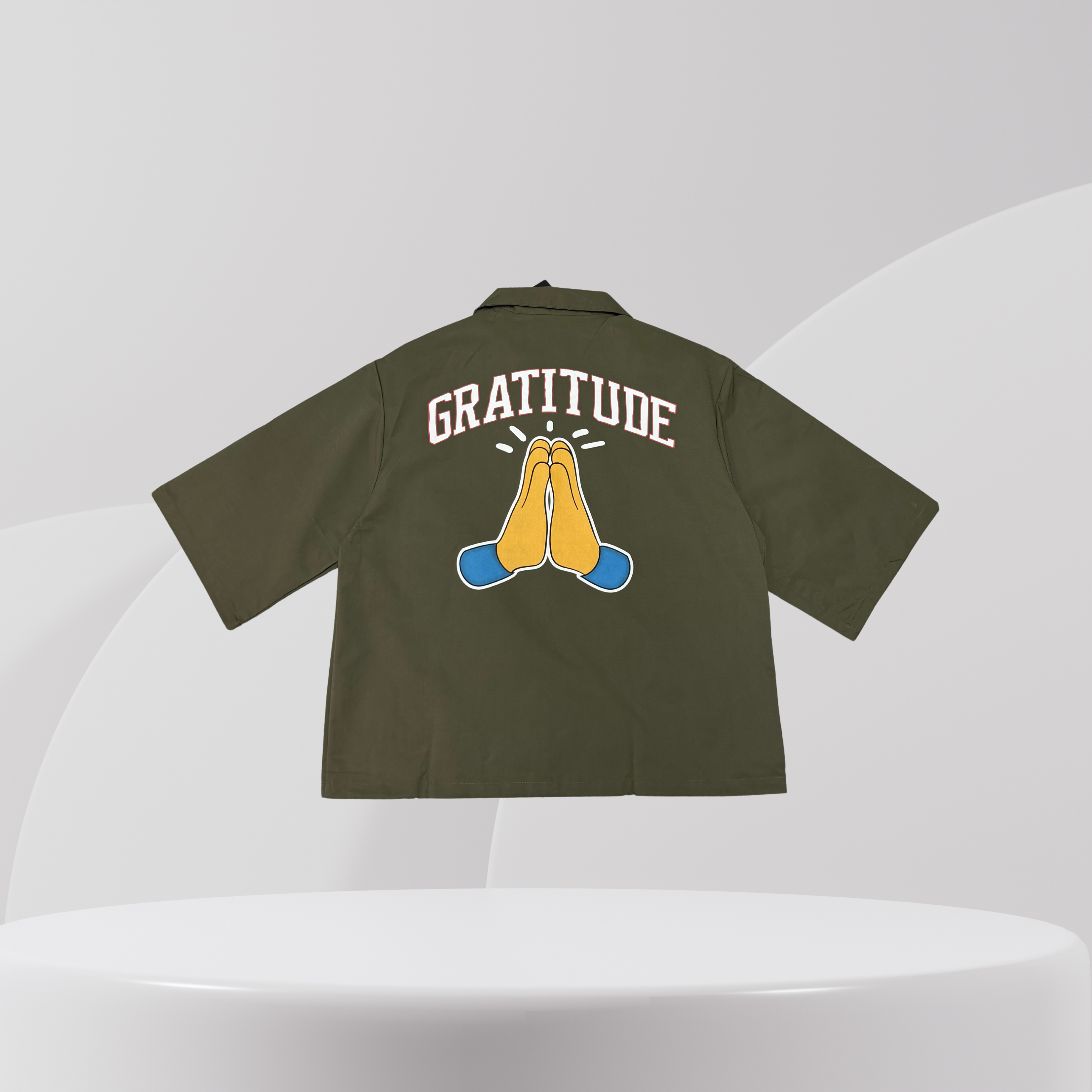 Gratitude Graphic Zip Shirt